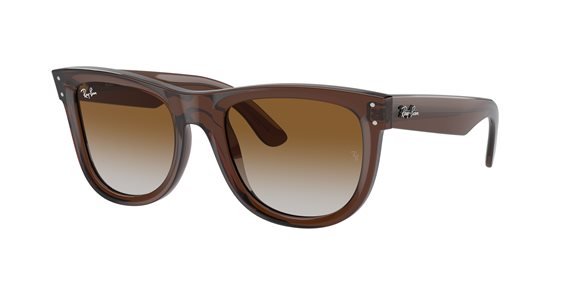 Occhiali da sole Ray-Ban WAYFARER REVERSE 0RBR0502S50  6709CB - 0RBR0502S50  6709CB